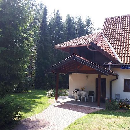Apartmani U Borovoj Sumi Ζλάτιμπορ Εξωτερικό φωτογραφία