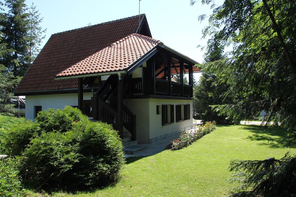 Apartmani U Borovoj Sumi Ζλάτιμπορ Εξωτερικό φωτογραφία