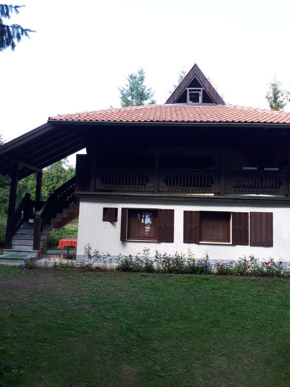 Apartmani U Borovoj Sumi Ζλάτιμπορ Εξωτερικό φωτογραφία
