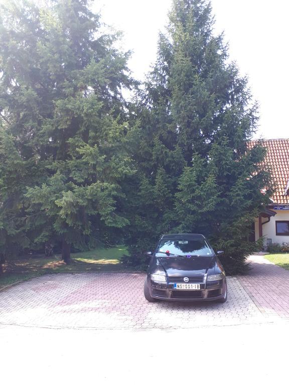 Apartmani U Borovoj Sumi Ζλάτιμπορ Εξωτερικό φωτογραφία